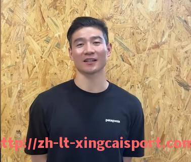 杏彩体育-积分风云变幻：英超20强赛季征程的胜负手解析