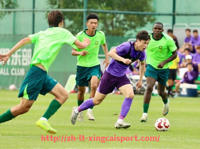 杏彩体育-西甲联赛赛季总进球数统计与破纪录回顾