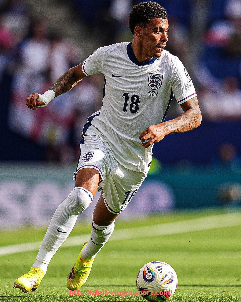 杏彩体育-世俱杯多节点转播系统中的权重分配逻辑与优化方法