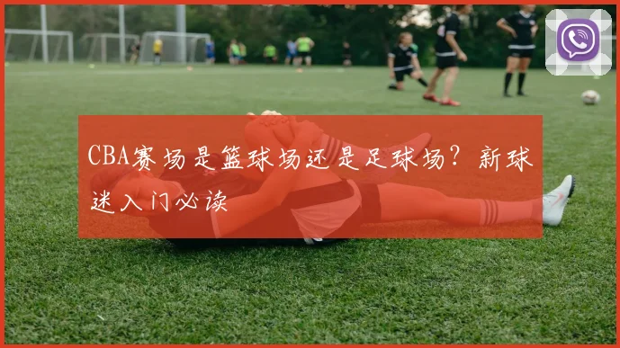 CBA赛场是篮球场还是足球场?新球迷入门必读