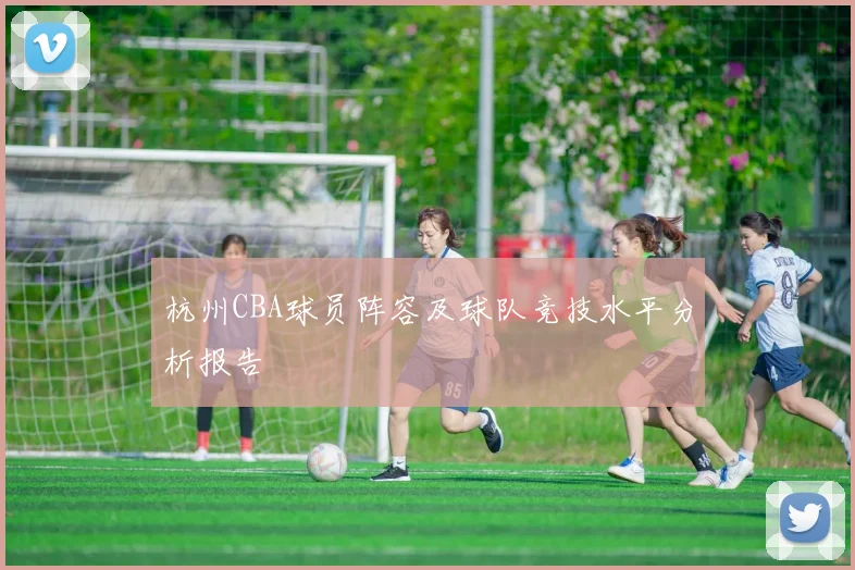 杭州CBA球员阵容及球队竞技水平分析报告