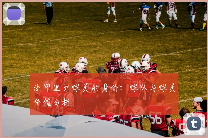 法甲里尔球员的身价:球队与球员价值分析