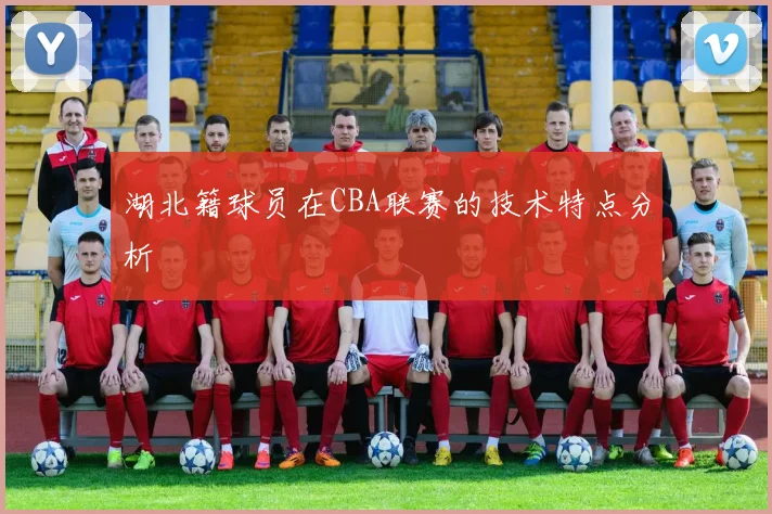 湖北籍球员在CBA联赛的技术特点分析